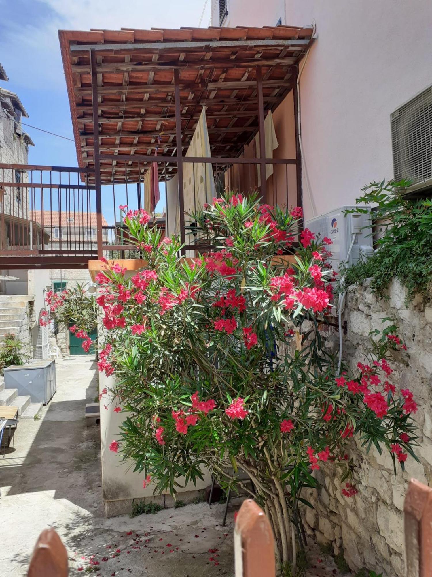 Oleander Apartments Spalato Esterno foto